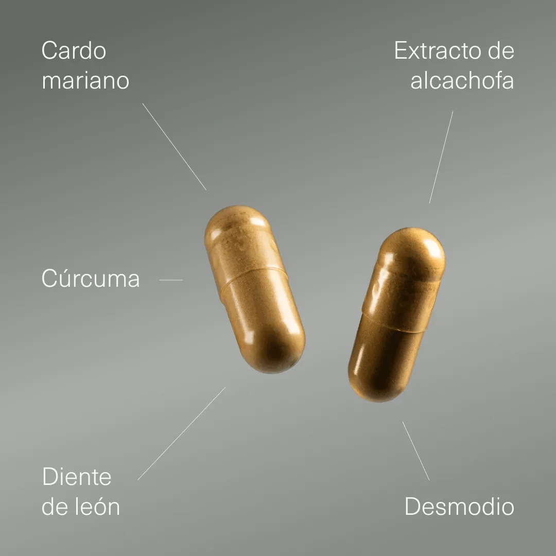 Cardo Mariano con Alcachofa, Cúrcuma, Diente de León y Desmodium