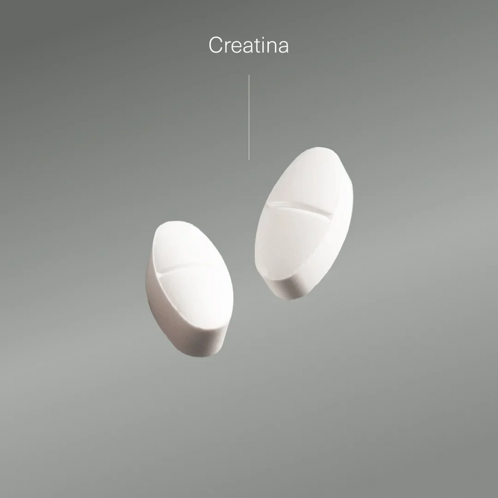 Creatina Monohidratada