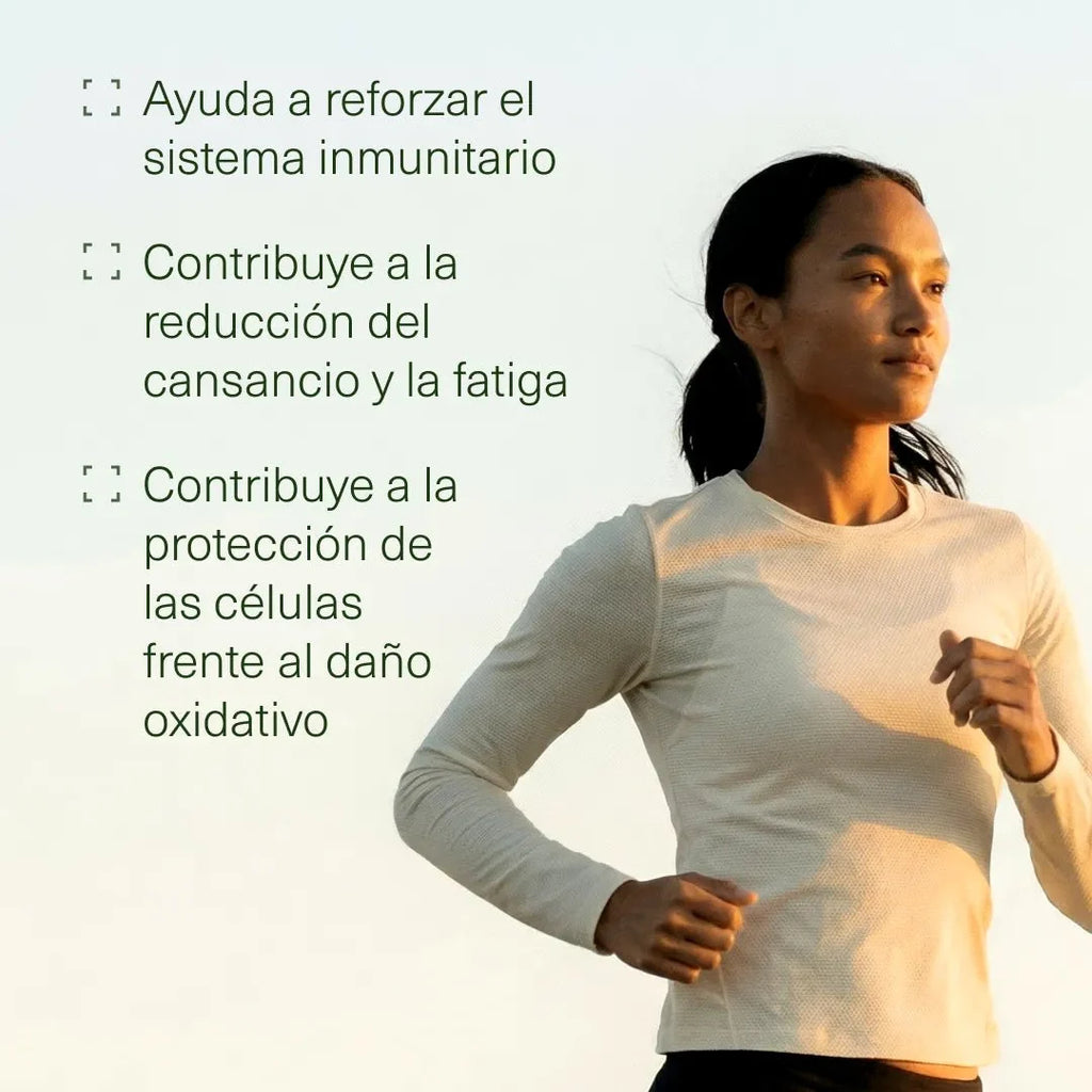 Moringa Ecológica