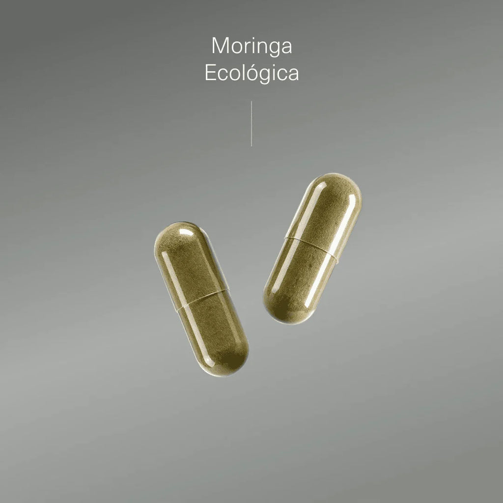 Moringa Ecológica