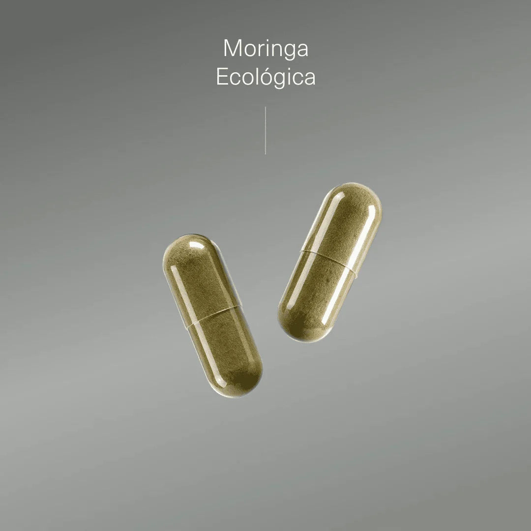 Moringa Ecológica