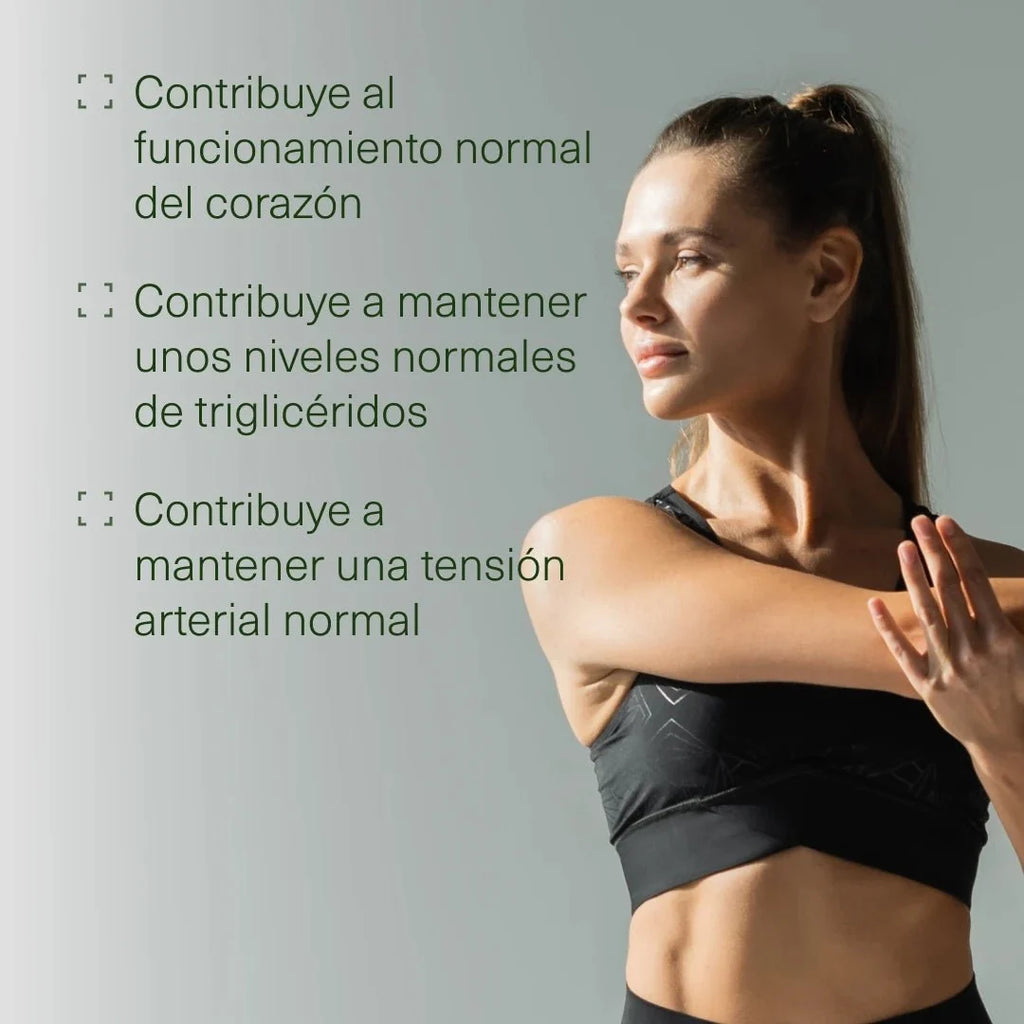 Omega 3 Premium