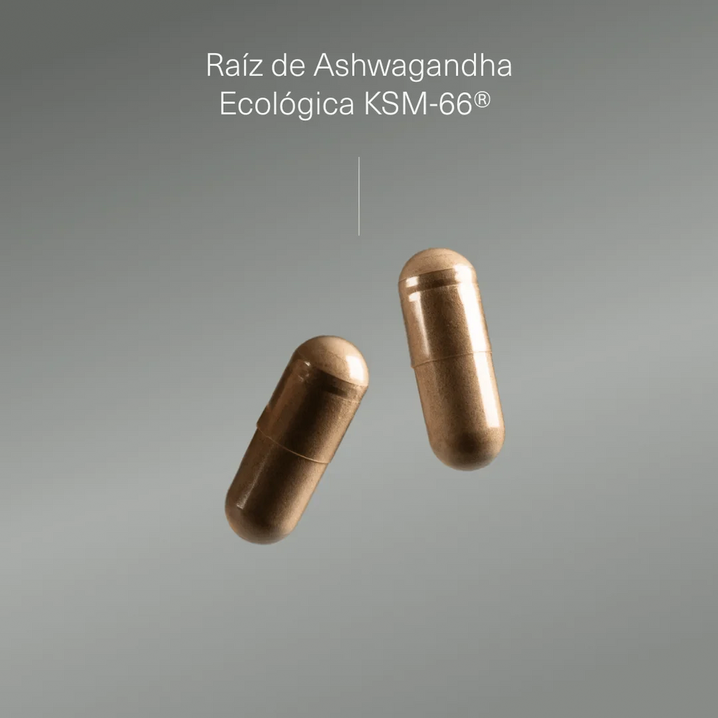 Pack Fertilidad Masculina