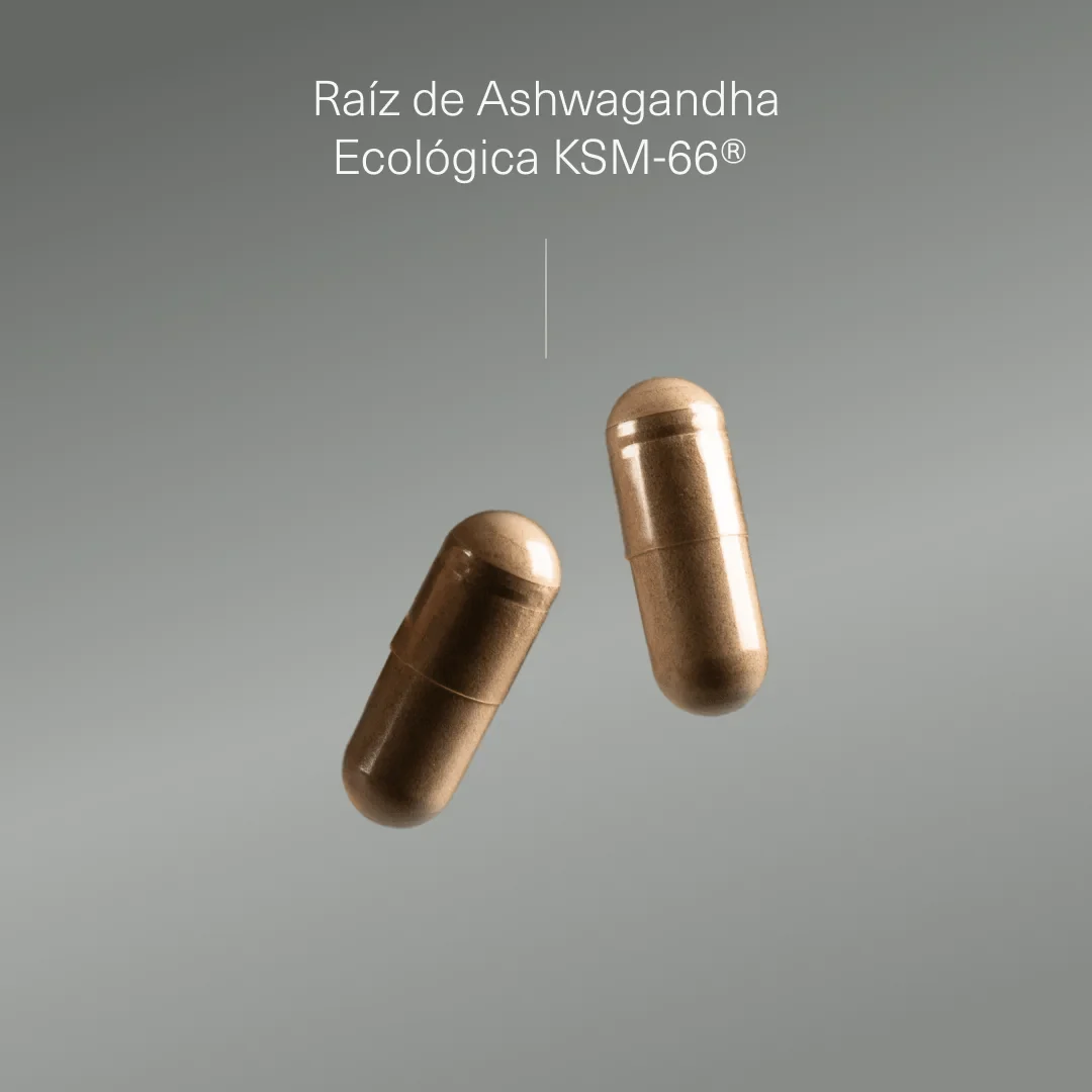 Pack Fertilidad Masculina